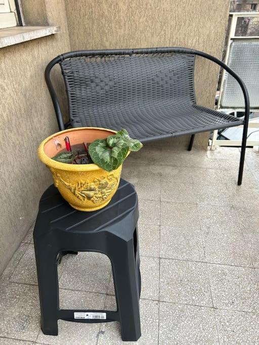 Lejlighed Pochi Passi Da San Pietro Metro A Cipro Rom